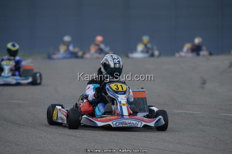 DSC_8554.jpg