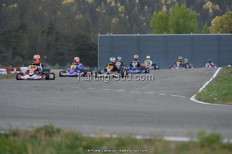 DSC_8564.jpg