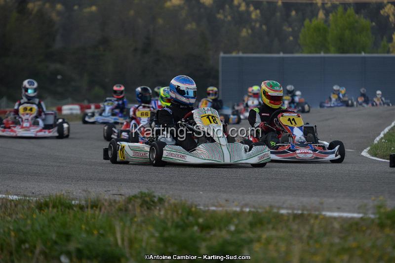 DSC_8567.jpg