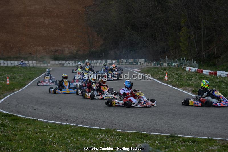 DSC_8584.jpg