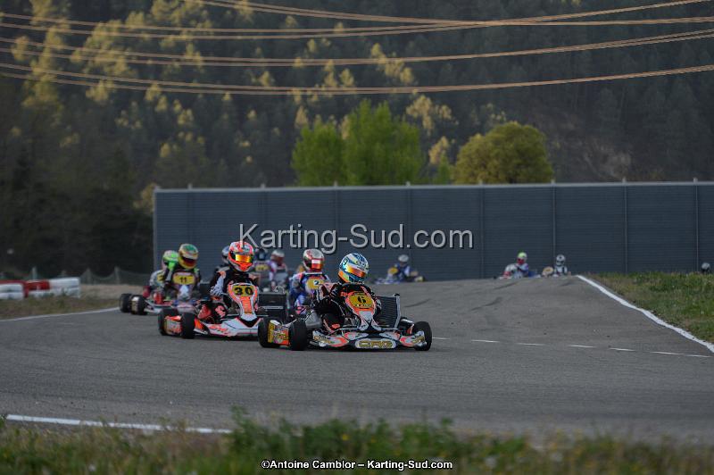 DSC_8588.jpg