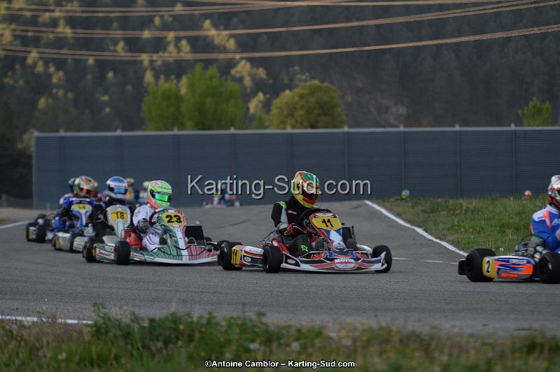 DSC_8589.jpg