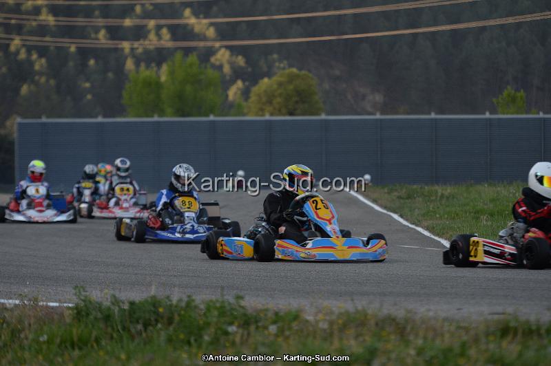 DSC_8591.jpg