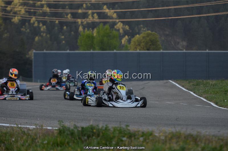 DSC_8593.jpg