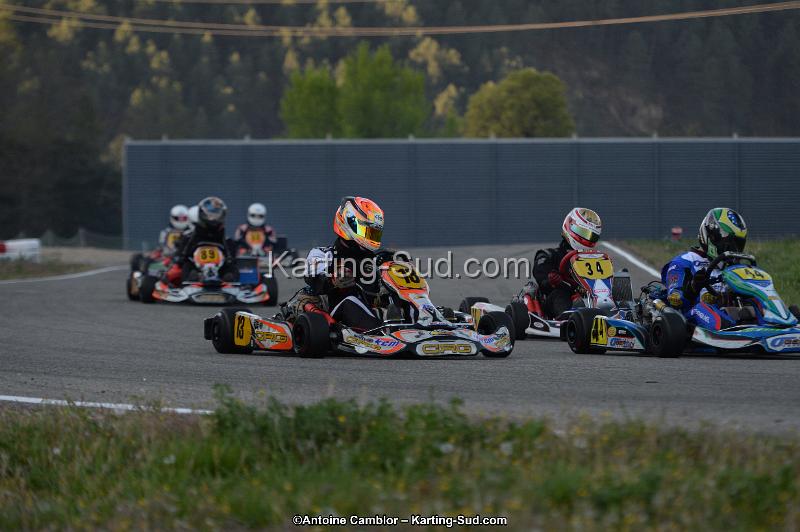 DSC_8594.jpg