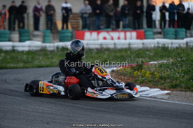 DSC_8616.jpg