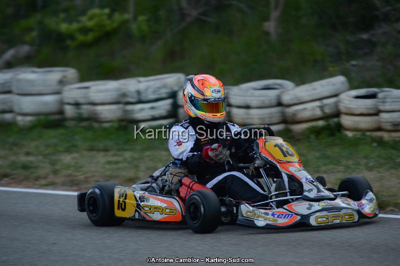 DSC_8633.jpg