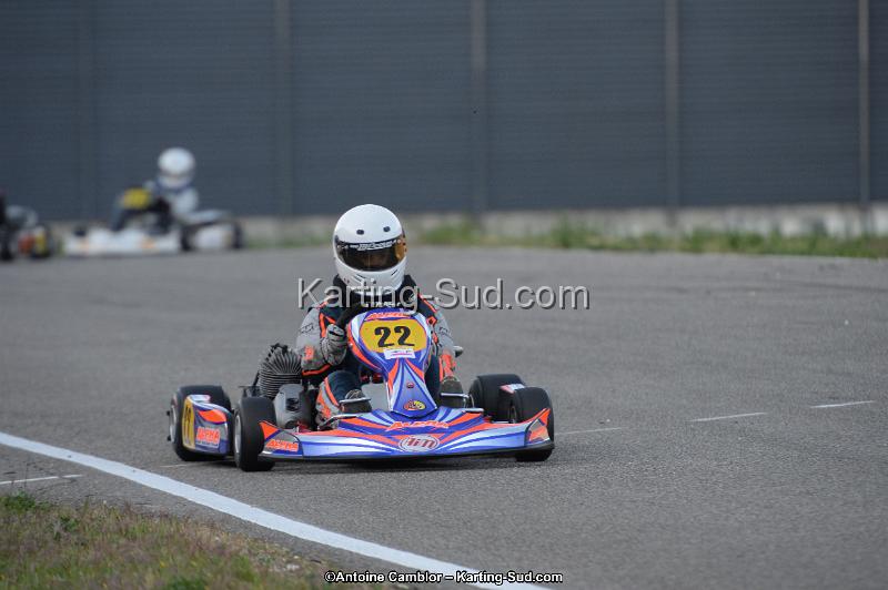 DSC_8781.jpg