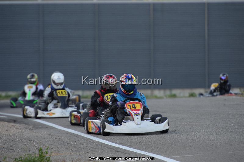 DSC_8782.jpg