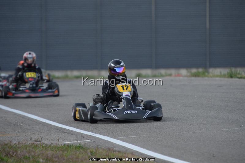 DSC_8784.jpg