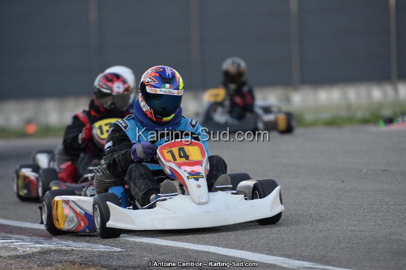 DSC_8795.jpg