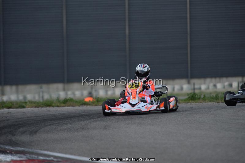 DSC_8803.jpg