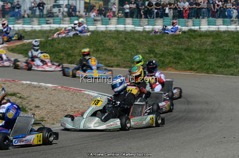 DSC_9831.jpg