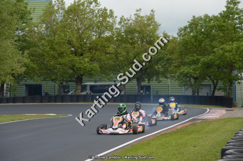 DSC_2206.jpg