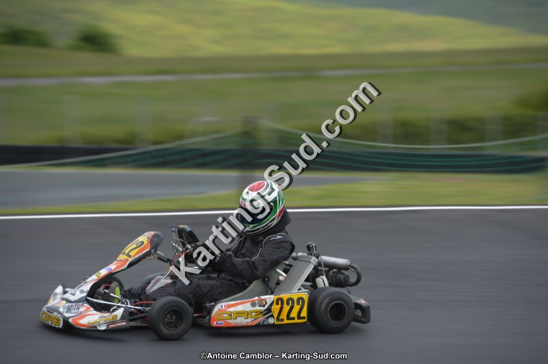 DSC_2220.jpg