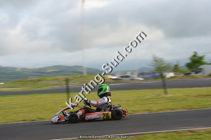 DSC_2242.jpg