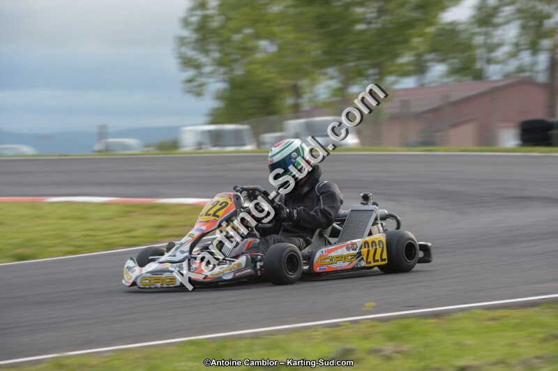 DSC_2247.jpg