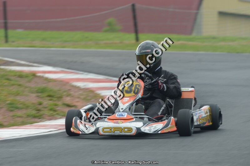 DSC_2294.jpg