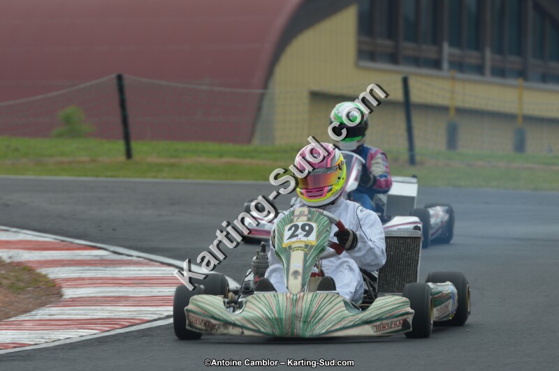 DSC_2296.jpg
