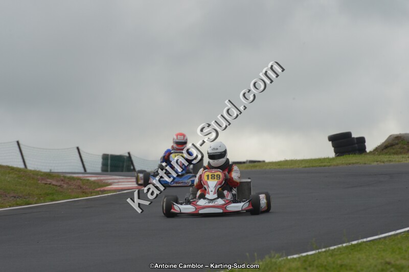 DSC_2336.jpg