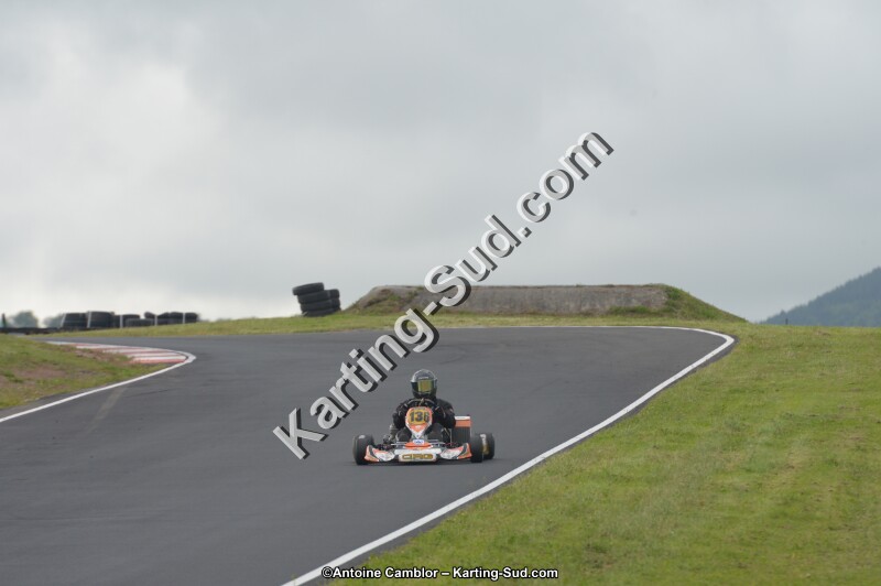 DSC_2343.jpg