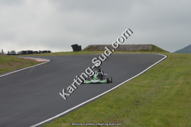 DSC_2346.jpg