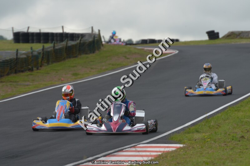 DSC_2350.jpg