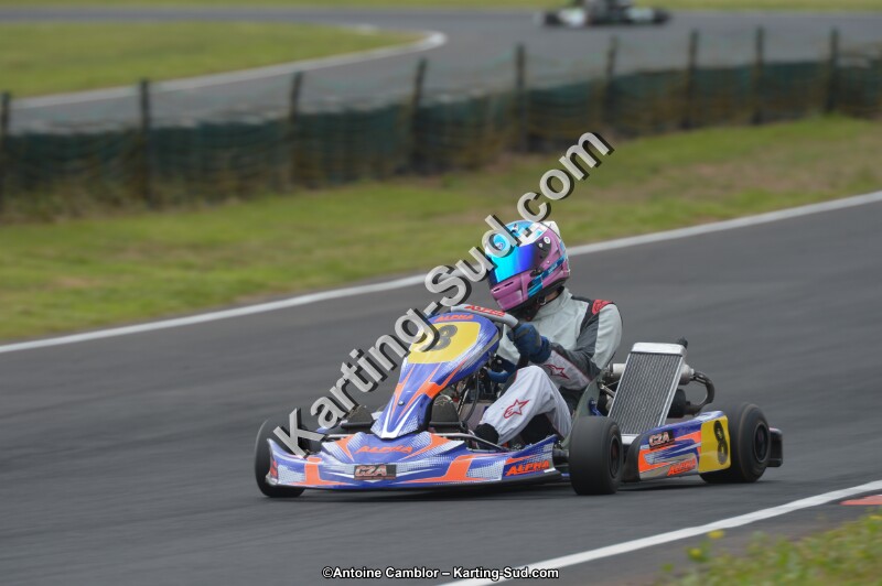 DSC_2352.jpg