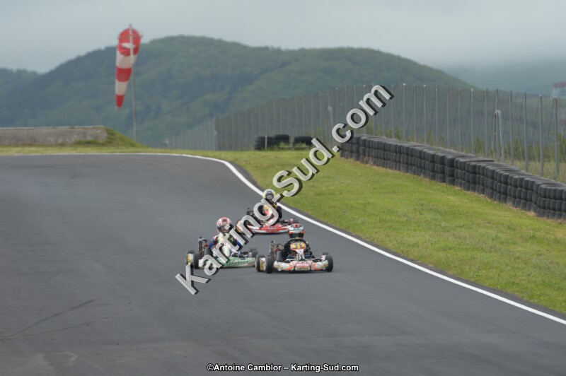 DSC_2362.jpg