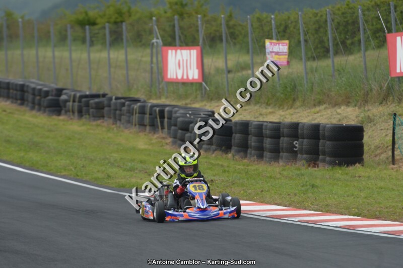 DSC_2368.jpg