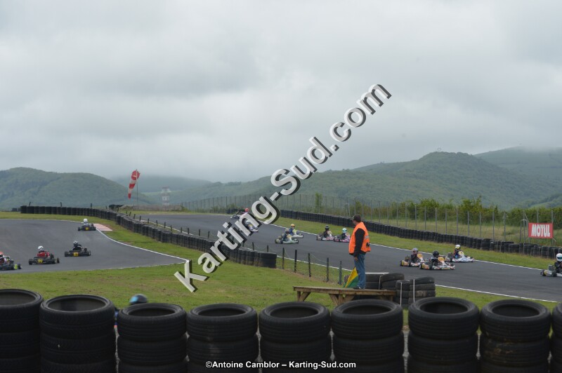DSC_2424.jpg