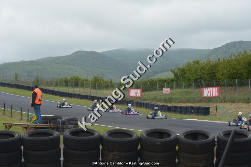 DSC_2426.jpg