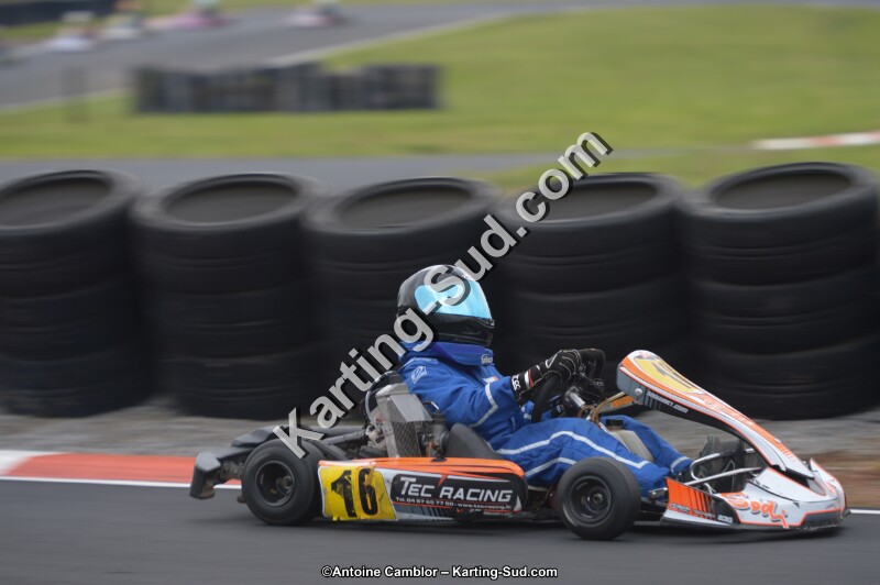 DSC_2432.jpg