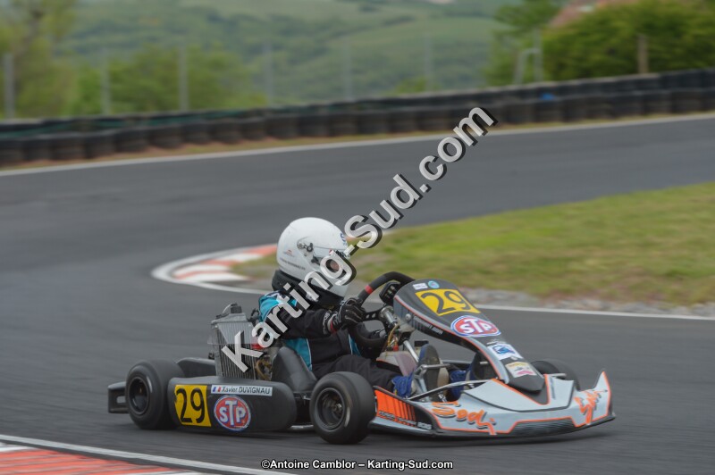 DSC_2489.jpg