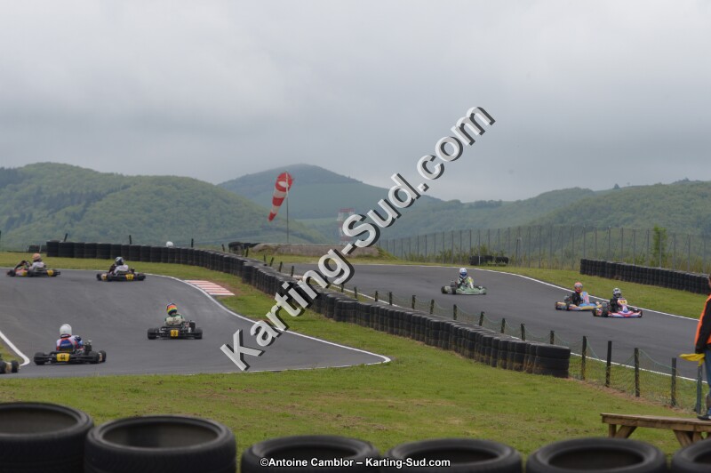DSC_2519.jpg