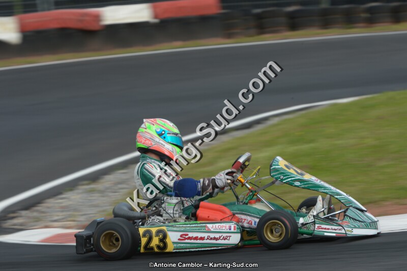 DSC_2719.jpg