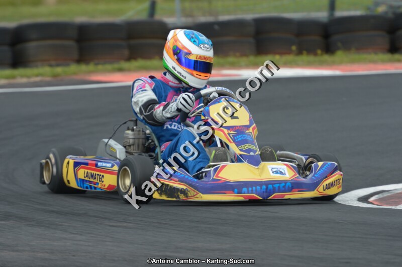 DSC_2779.jpg