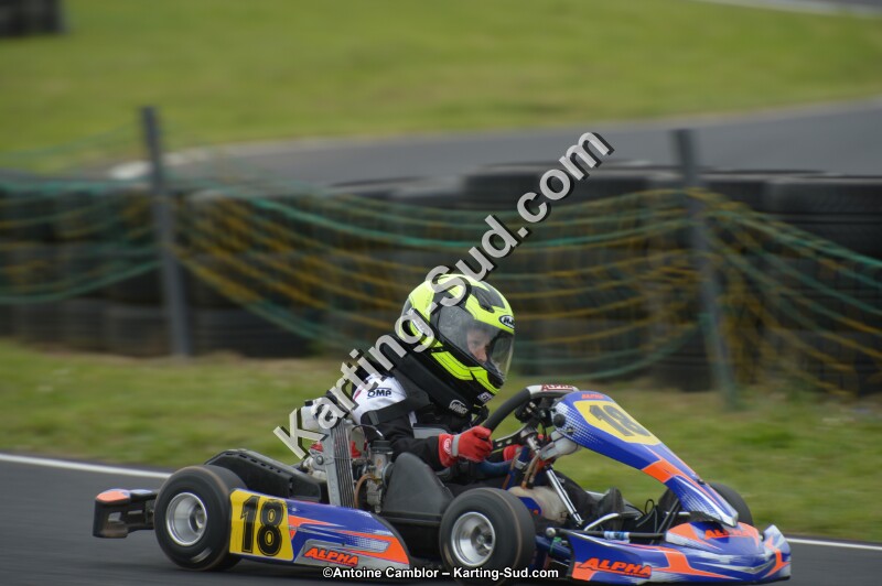 DSC_2939.jpg