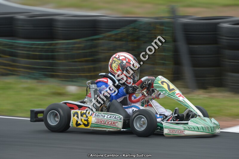 DSC_2946.jpg