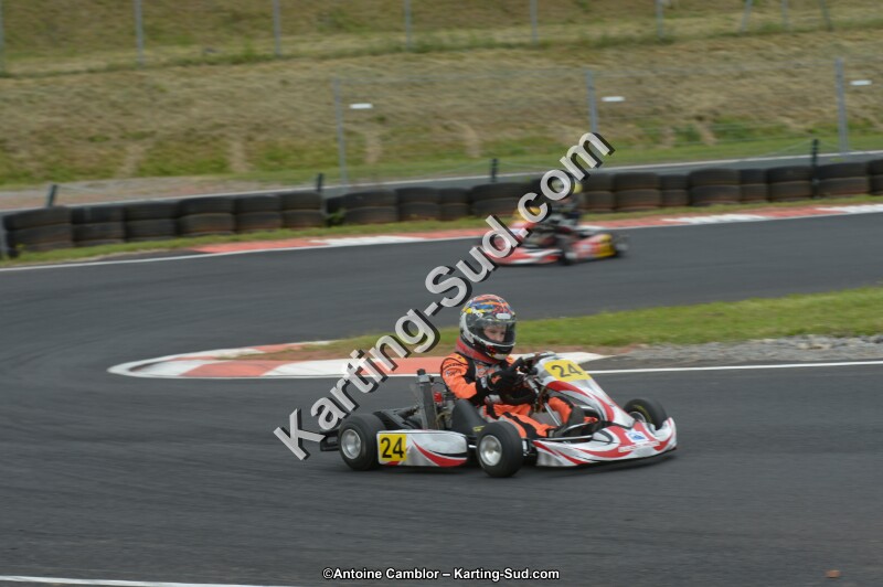 DSC_2981.jpg