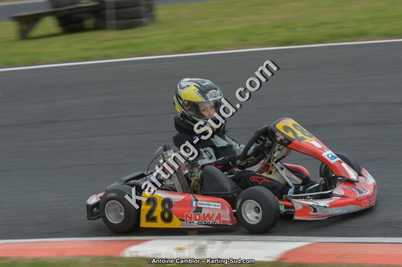 DSC_2983.jpg