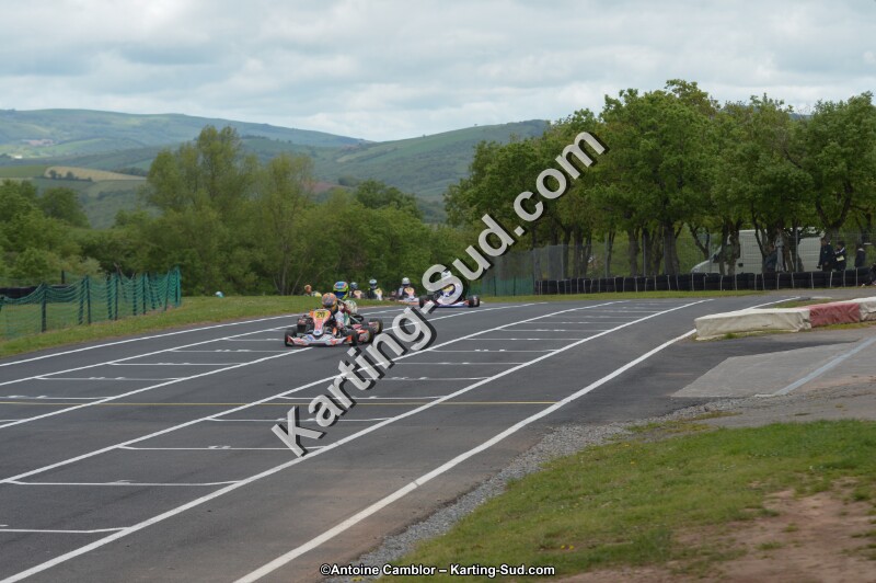 DSC_3175.jpg