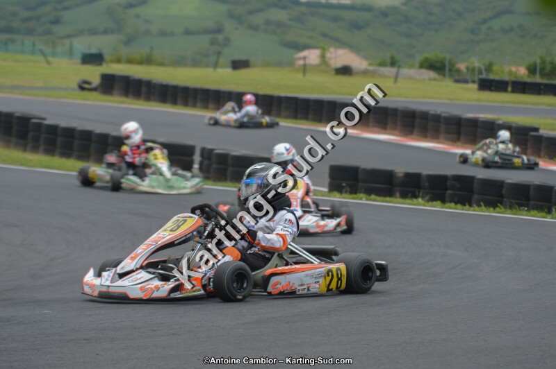 DSC_3250.jpg