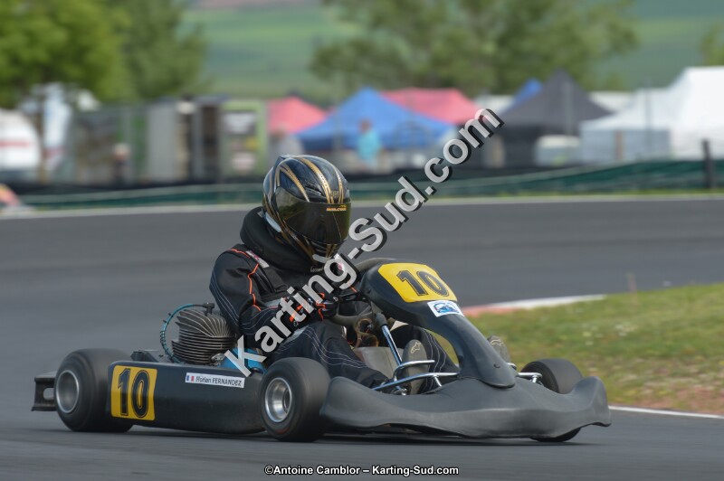 DSC_3337.jpg