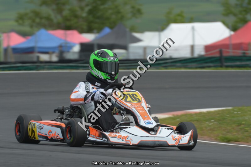 DSC_3517.jpg