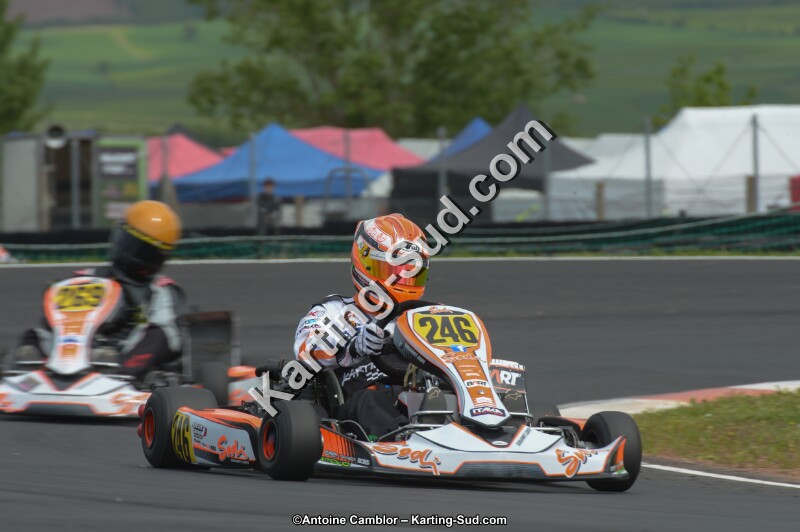 DSC_3519.jpg