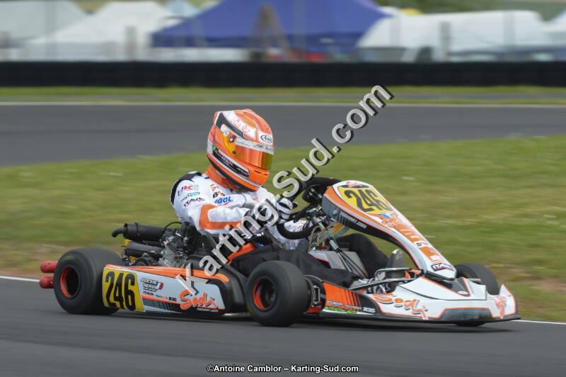 DSC_3537.jpg