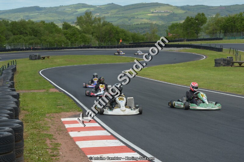 DSC_3611.jpg