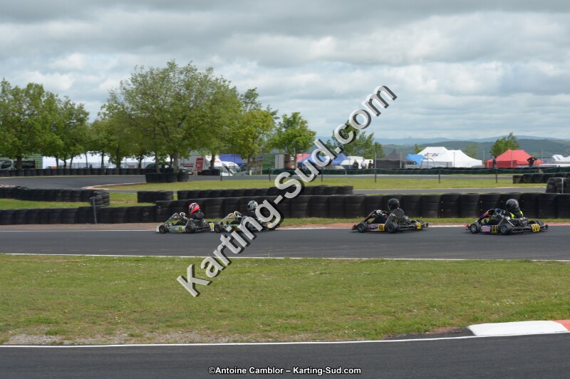 DSC_3613.jpg