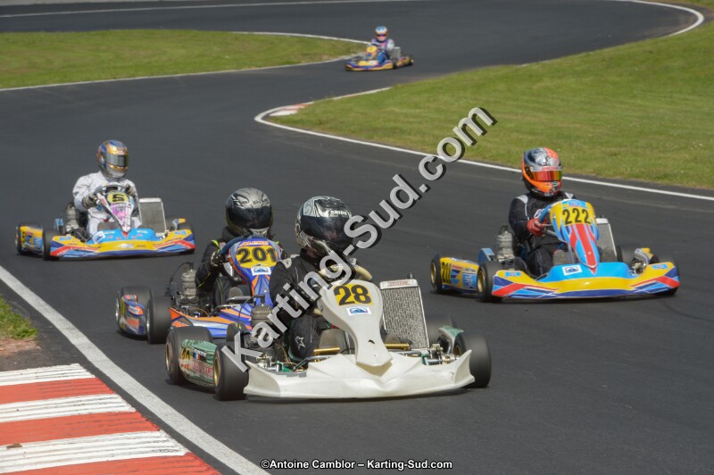 DSC_3636.jpg